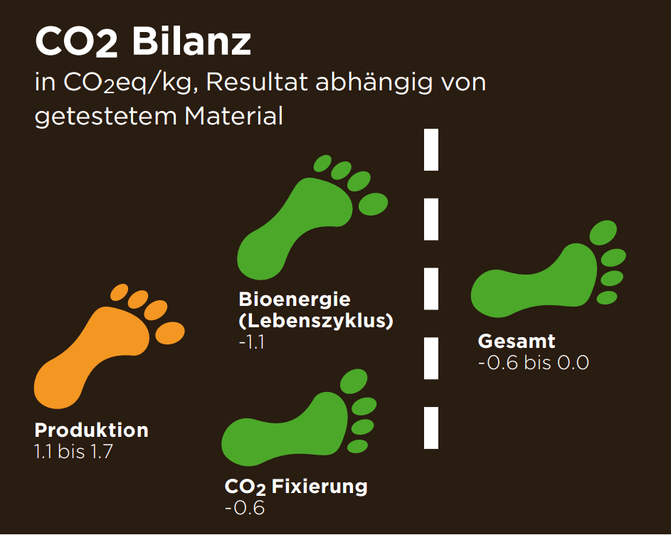 Bambus CO2-Bilanz